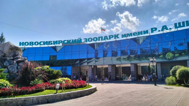 БиоПро продолжает опекать африканского страуса Кроша в Новосибирском зоопарке