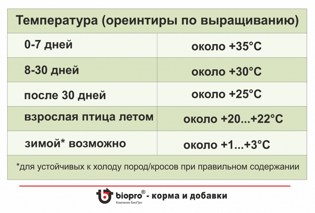 Условия содержания.jpg