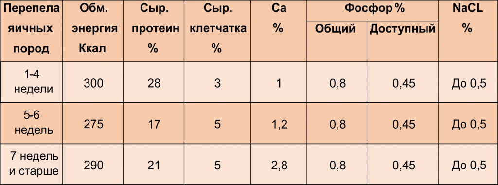 Особенности кормления яичных пород перепелок.jpg