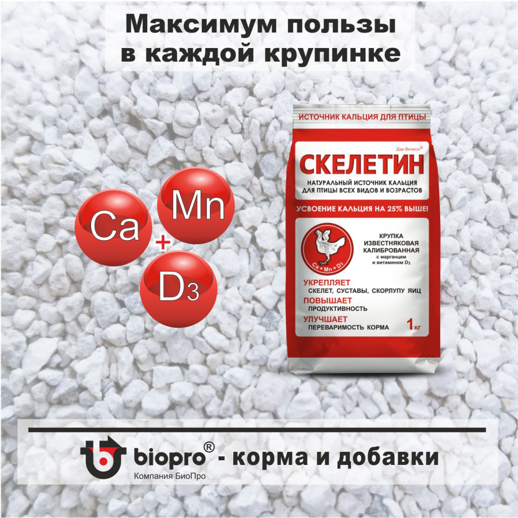 Скелетин.jpg