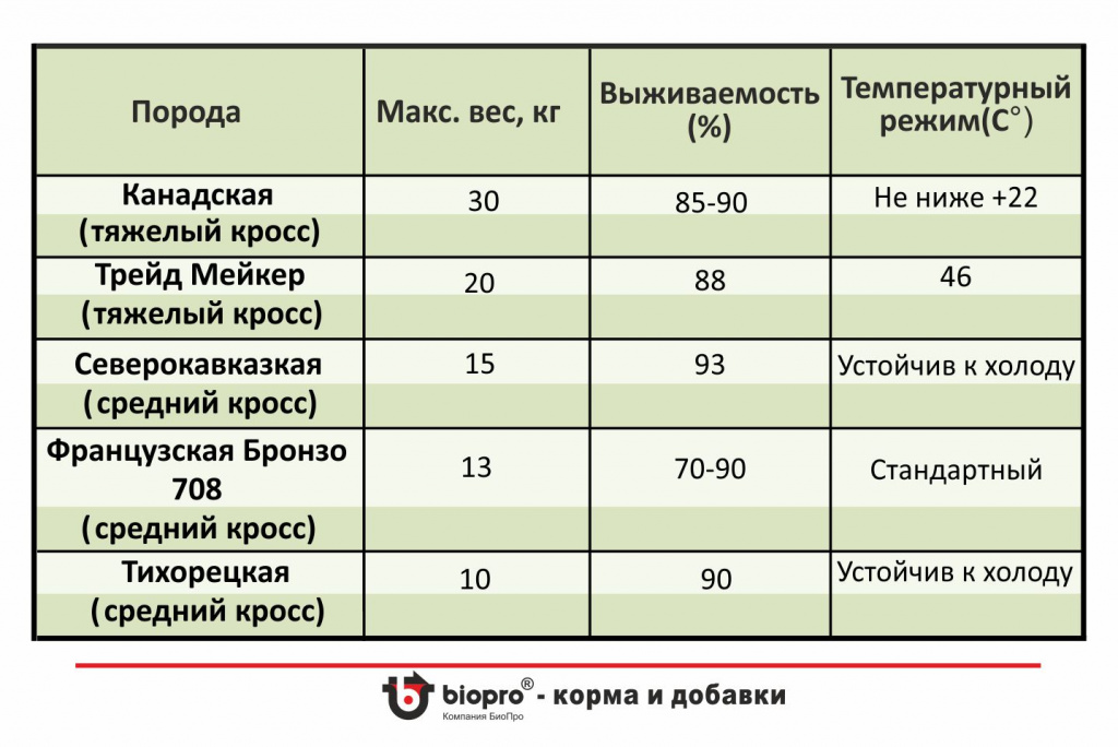 Средние и тяжелые кросы.jpg