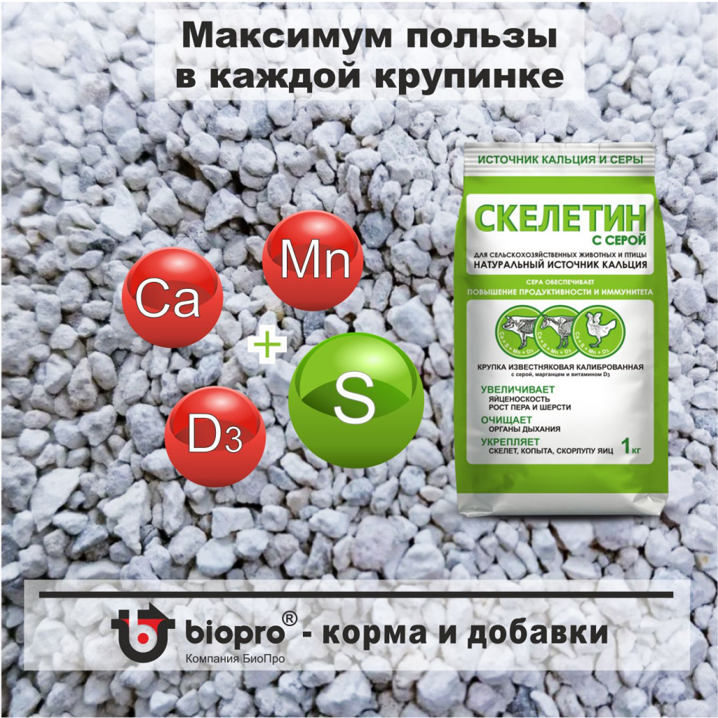 Скелетин с серой.jpg