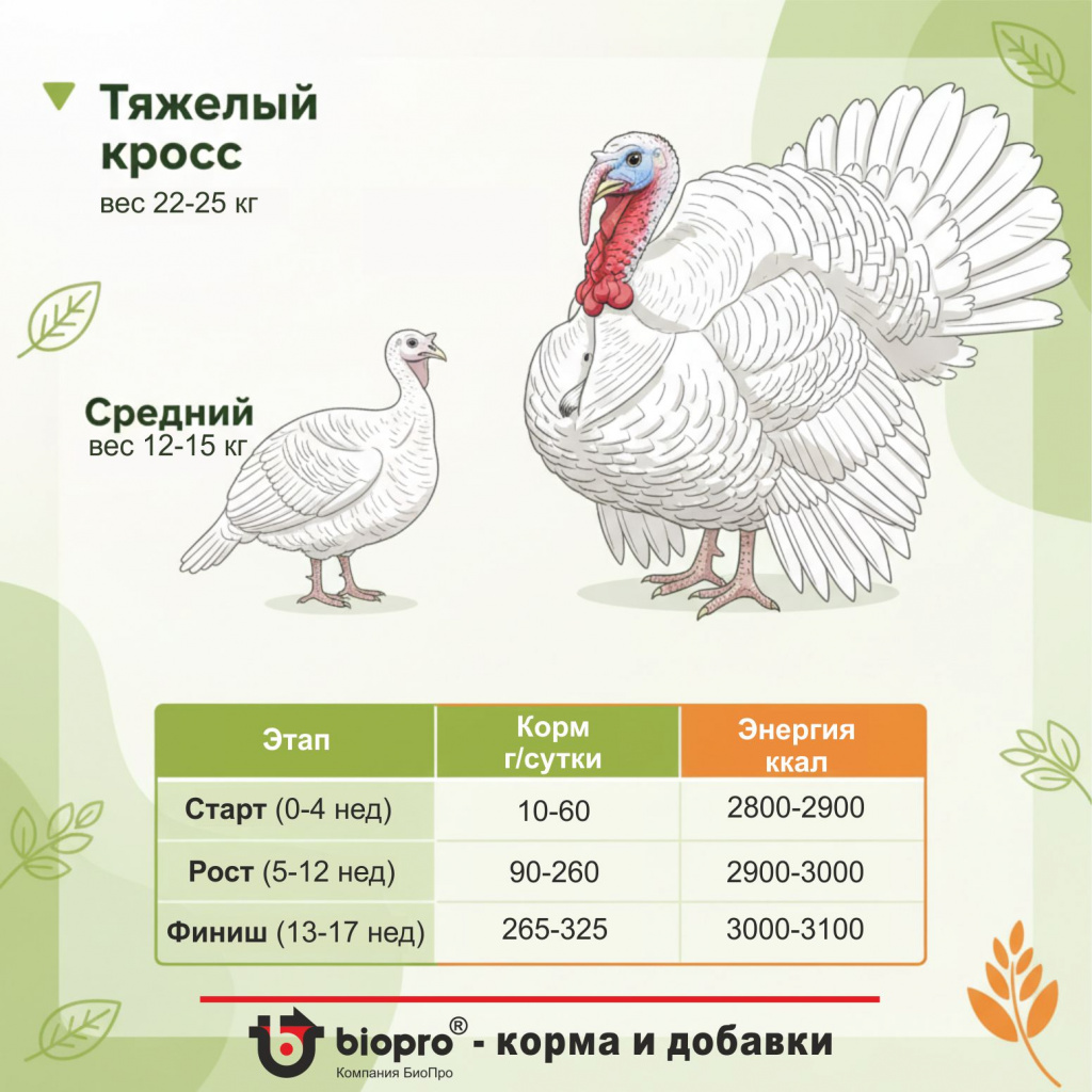 Приемущества перед курицей-бройлером.jpg