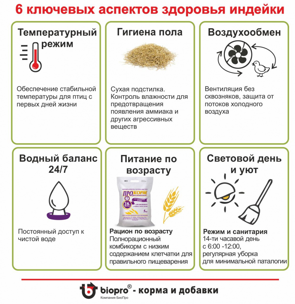 6 ключевых оспектов.jpg