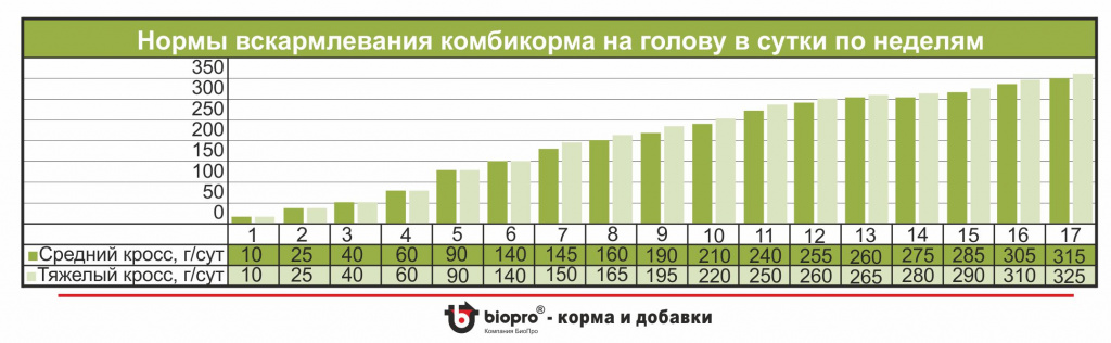 Нормы кормления.jpg