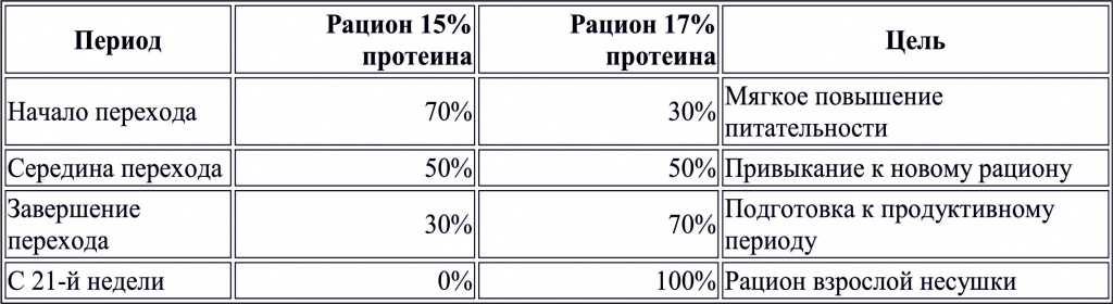 нес12345.jpg