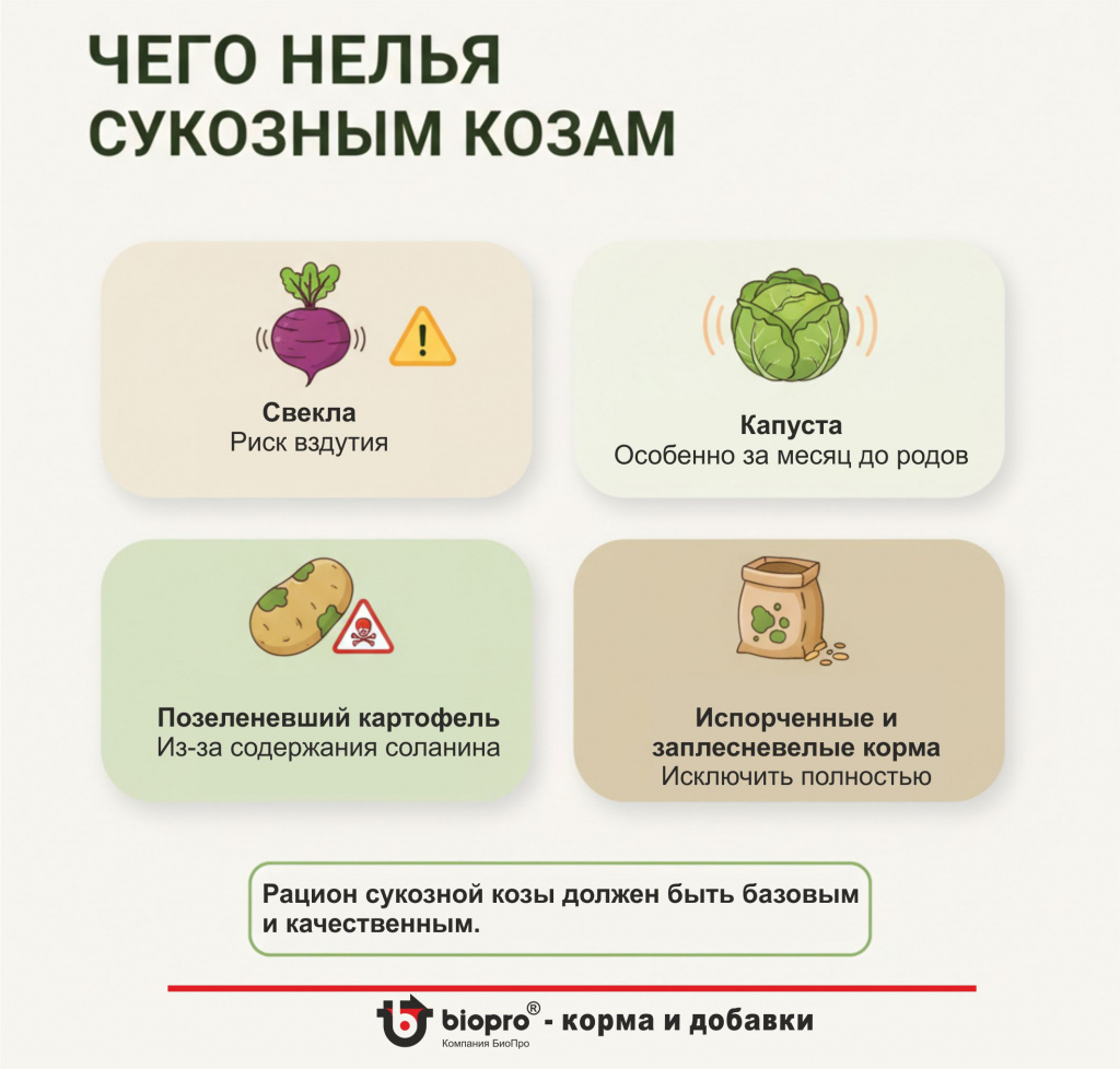 Чего нельзя сукозным козам.jpg
