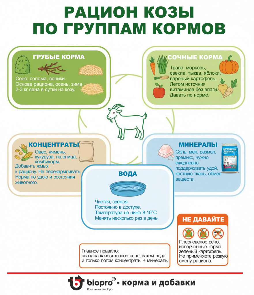 Для статьи козы2.jpg
